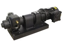 Bơm xăng Gespasa BDP-300, mã: 10120