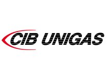Động cơ CIB Unigas 71-2P-B3/B14 550W