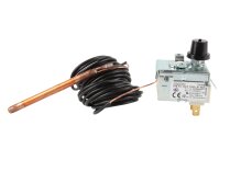 Bộ điều nhiệt Imit 100 C LS1 7045