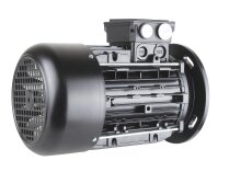 Động cơ điện Riello 3013565
