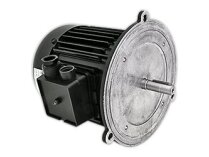 Động cơ điện HANNING 550W, mã 13013124