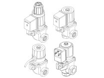 Van điện từ khí Brahma E8/SB4*CFD, mã: 13671201