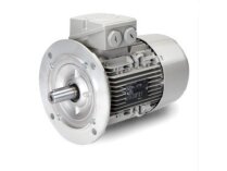 Động cơ điện Baltur, 11 kW, mã: 0005010246.
