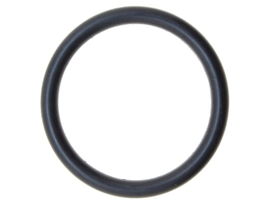 Gioăng chữ O Weishaupt 445523