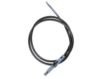 Cảm biến ngọn lửa Weishaupt QRB1C L3Z-A-LN, nghệ thuật: 21136412012.