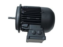 Động cơ Weishaupt W-D160/240-2/16K0 21871307010. Ref. Art: We21871307010, We2187130701-0.