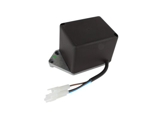 Động cơ servo Riello 3002470