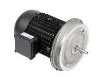 Động cơ điện Weishaupt W-D112/170-2/5K5, mã: 21841407010