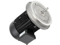 Động cơ điện Weishaupt W-D112/170-2/5K0, mã: 25181707010
