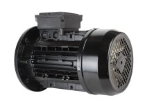 Động cơ điện Riello, mã: 3008422.