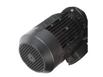 Động cơ điện Riello, mã: 3013692.