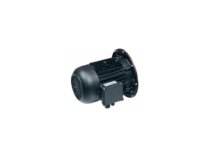 Động cơ điện Weishaupt, mã: 21841507040.