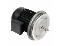 Động cơ điện Weishaupt W-D132/210-2/12K0, mã: 25191107100.