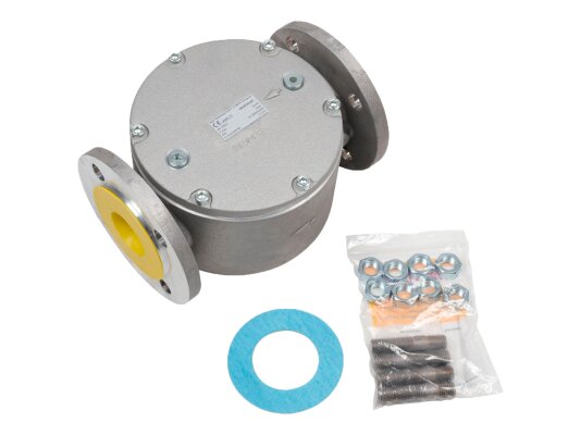 Bộ lọc khí Weishaupt WF 3050/1, Dn 50